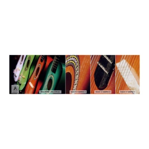 Vzorka fototapety Premium Canvas - Gitara má veľa farieb - Hudba, Gitara, Hudobný nástroj - 100x30 cm