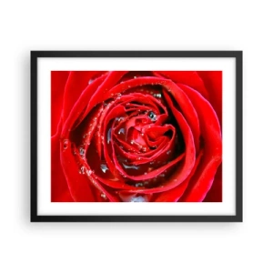 Plagát v čiernom ráme - V kvapkách rosy - 50x40 cm