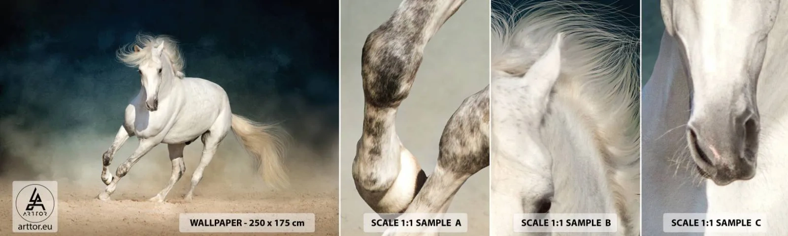 Vzorka samolepiacej fototapety Deluxe Sticker - Sloboda v čistom stave - Kôň, Zviera, biely - 100x30 cm