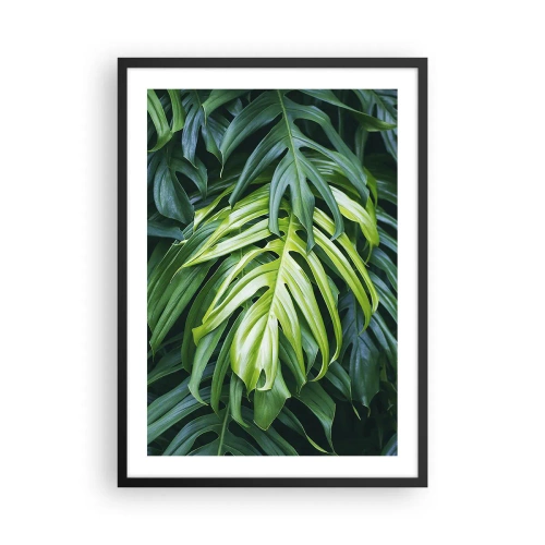 Plagát v čiernom ráme - Detailný záber na zelené listy monstery - 50x70cm - Ponoriť sa do sviežosti - Moderná nástenná dekorácia do obývacej izby a spálne ARTTOR