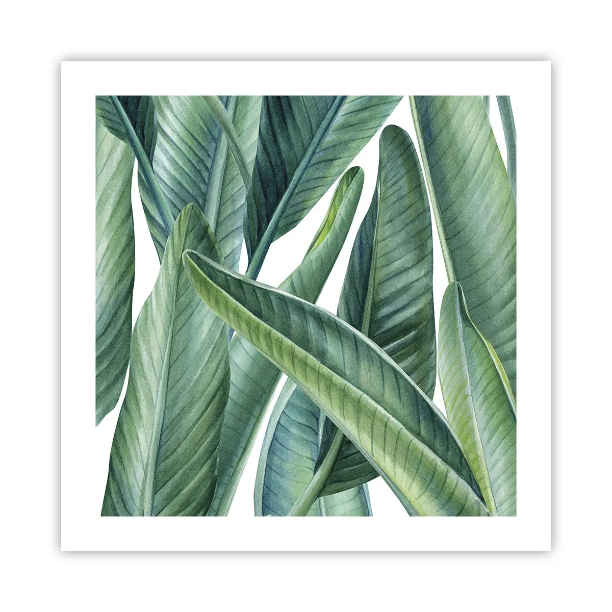 Plagát - Proste zelená - 50x50 cm