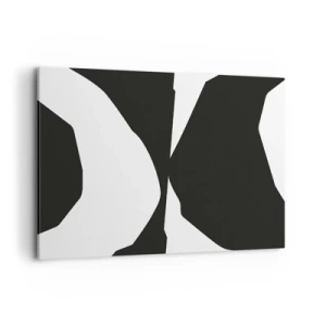 Obraz na plátne - Positive-negative - 120x80 cm