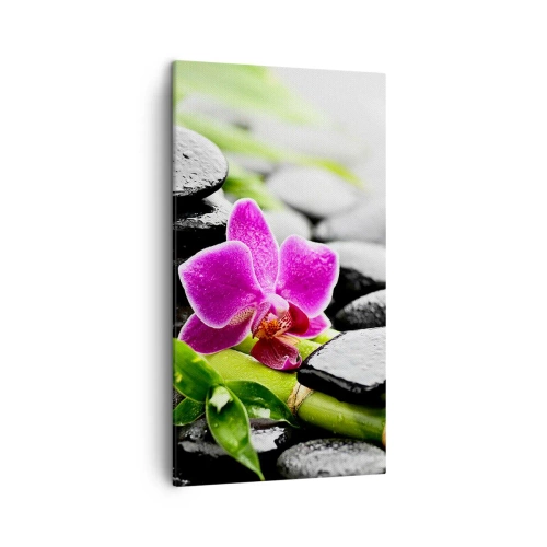 Obraz na plátne - V pokojnej rovnováhe - 45x80 cm