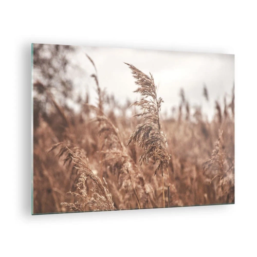 Obraz na skle - Sušené trávy vo vetre v jesennom svetle prírody - 70x50cm - Na poliach už je jeseň - Moderná nástenná dekorácia do obývacej izby a spálne ARTTOR