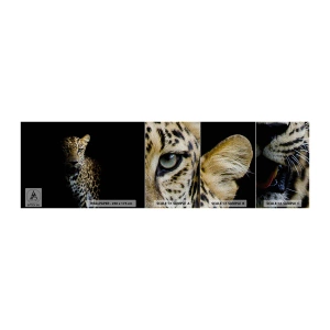 Vzorka fototapety Premium Sand - Temná krása - Zvieratá, leopard, Divoká mačka - 100x30 cm