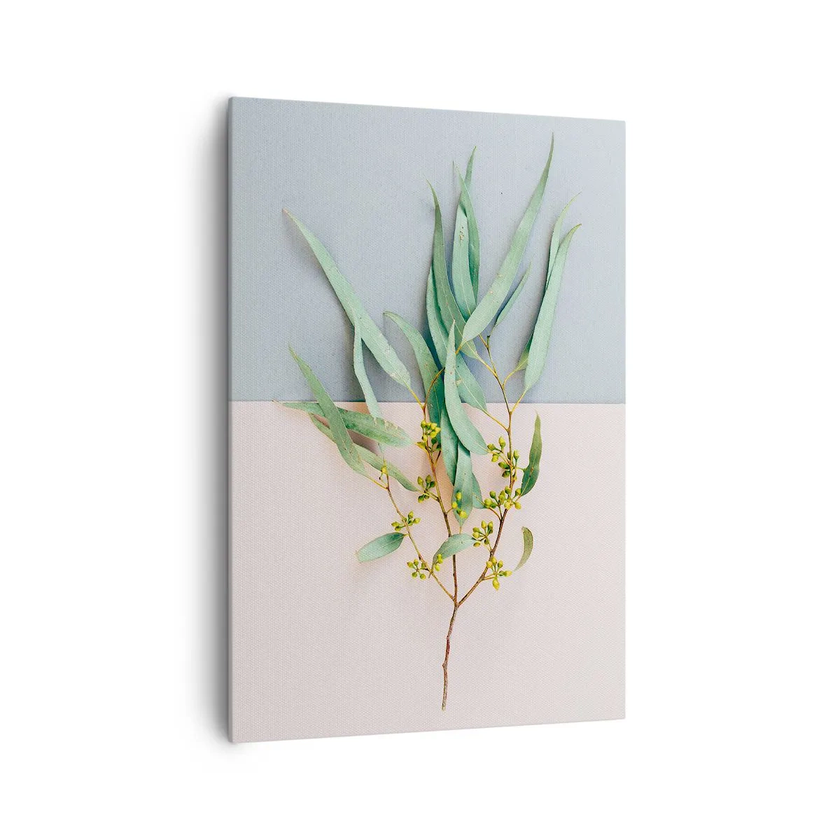 Obraz na plátne - Pastelová jemnosť - 70x100 cm