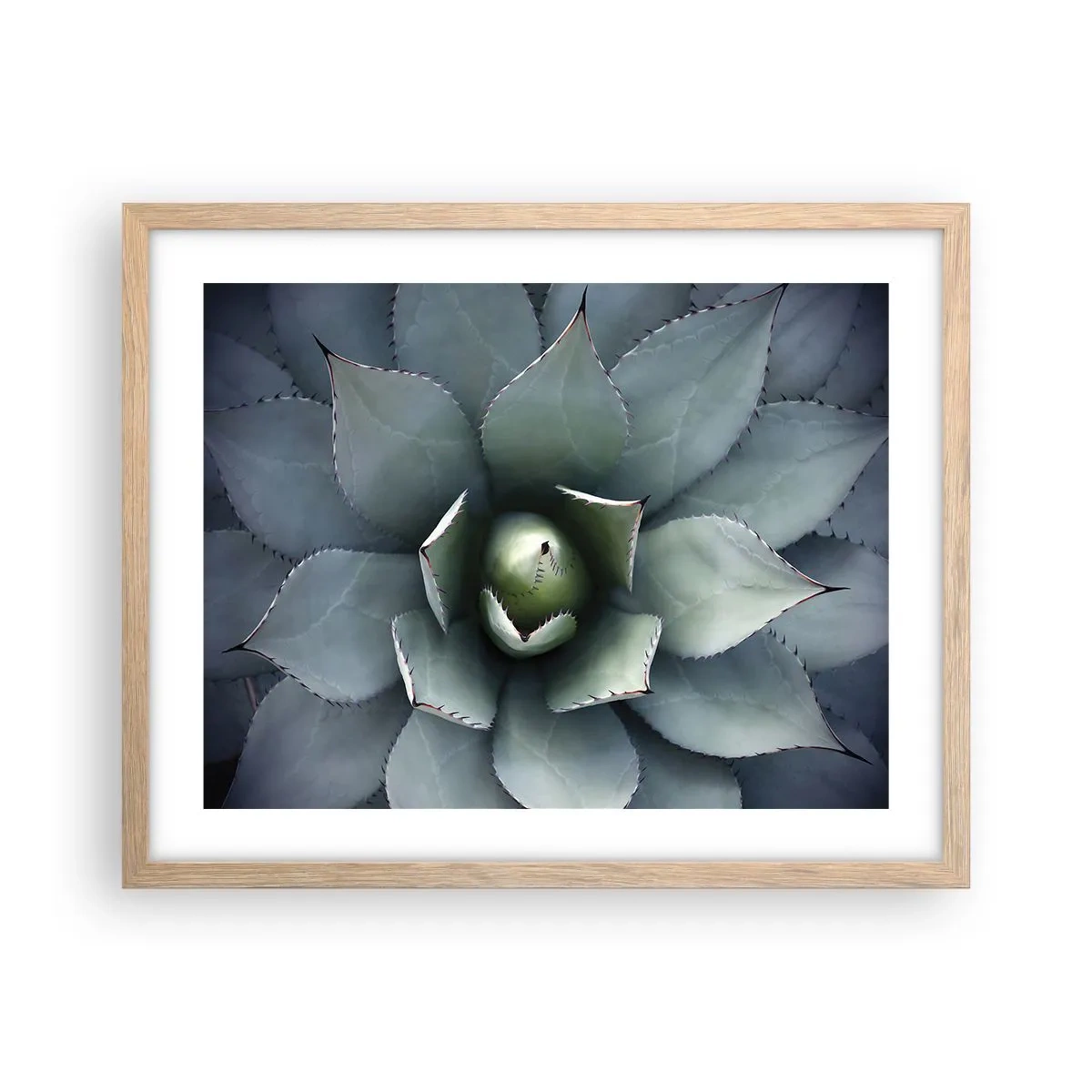 Plagát v ráme zo svetlého duba - Zvádza a varuje - 50x40 cm