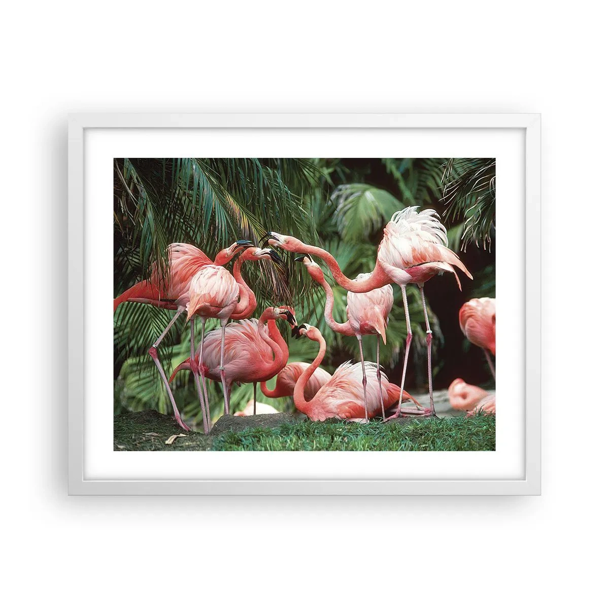 Plagát v bielom ráme - Popoludňajšie klebety - 50x40 cm