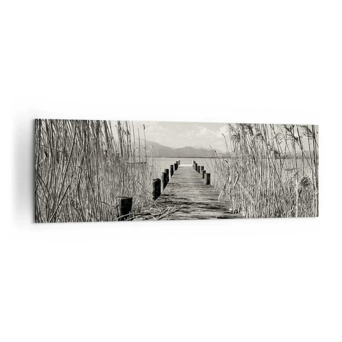 Obraz na plátne - V ústraní tráv - 160x50 cm