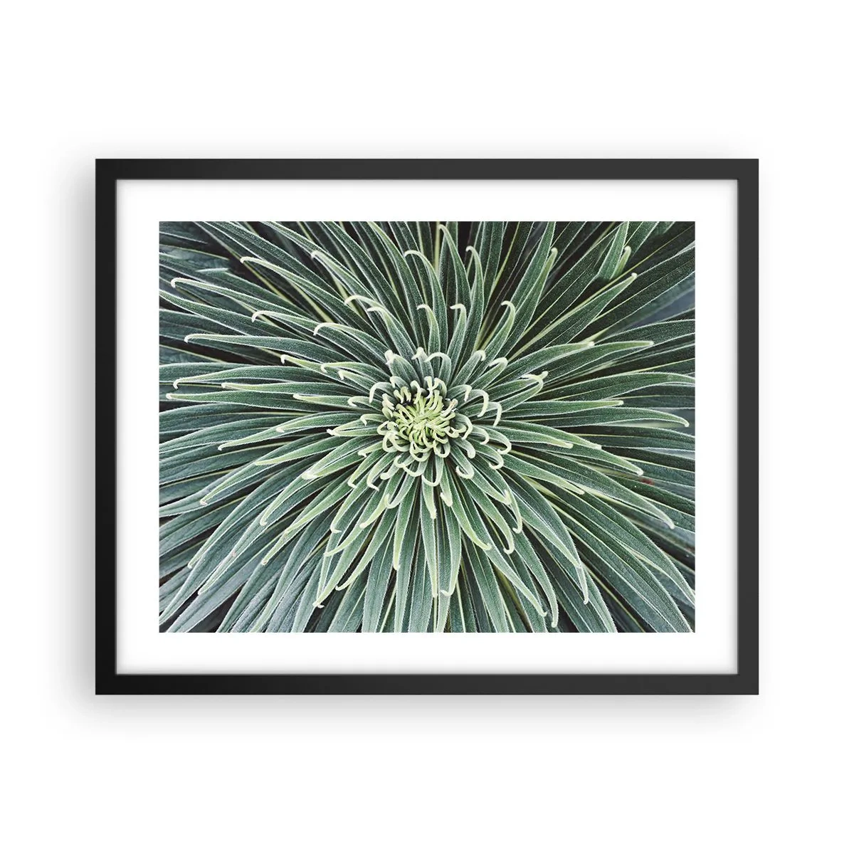 Plagát v čiernom ráme - Zrodenie hviezdy - 50x40 cm