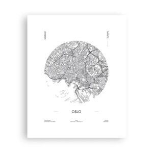 Plagát - Anatómia Osla - 40x50 cm