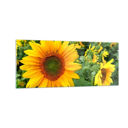 Obraz na skle - Zahoreli stovky sĺnk - 100x40 cm