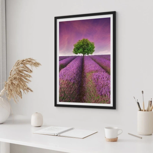Plagát v čiernom ráme - Na levanduľových poliach - 70x100 cm