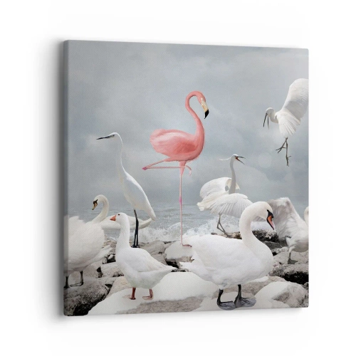 Obraz na plátne - Kde som sa tu vzal? - 40x40 cm