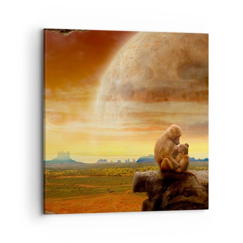 Obraz na plátne - Láska je všade rovnaká - 70x70 cm