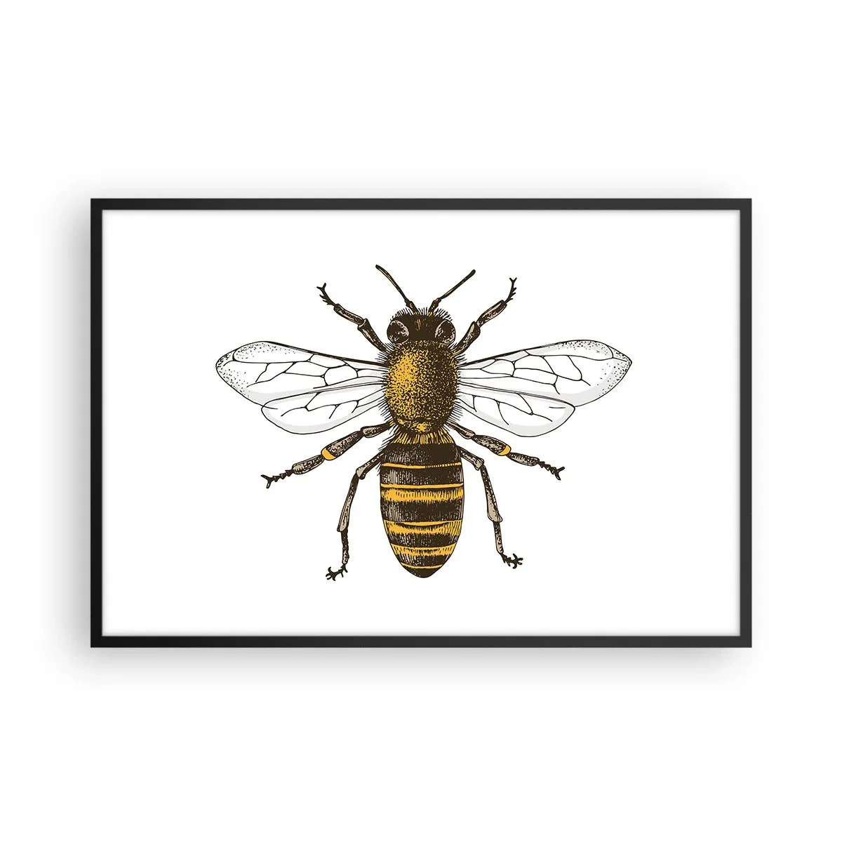 Plagát v čiernom ráme - Krásna a dobrá - 91x61 cm