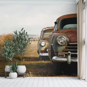 Samolepiaca Fototapeta Deluxe Sticker - Zaslúžený odpočinok - Staré auto, Automobilový priemysel, Vintage - 100x70 cm