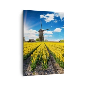 Obraz na plátne - Viac holandský nemôže byť - 70x100 cm