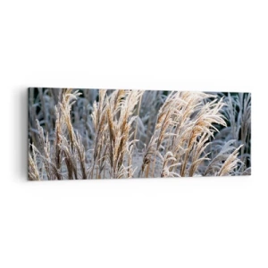 Obraz na plátne - Mrazom pokryté - 140x50 cm