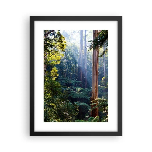 Plagát v čiernom ráme - Poviedka lesa - 30x40 cm