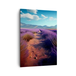 Obraz na plátne - Voňavé polia - 50x70 cm
