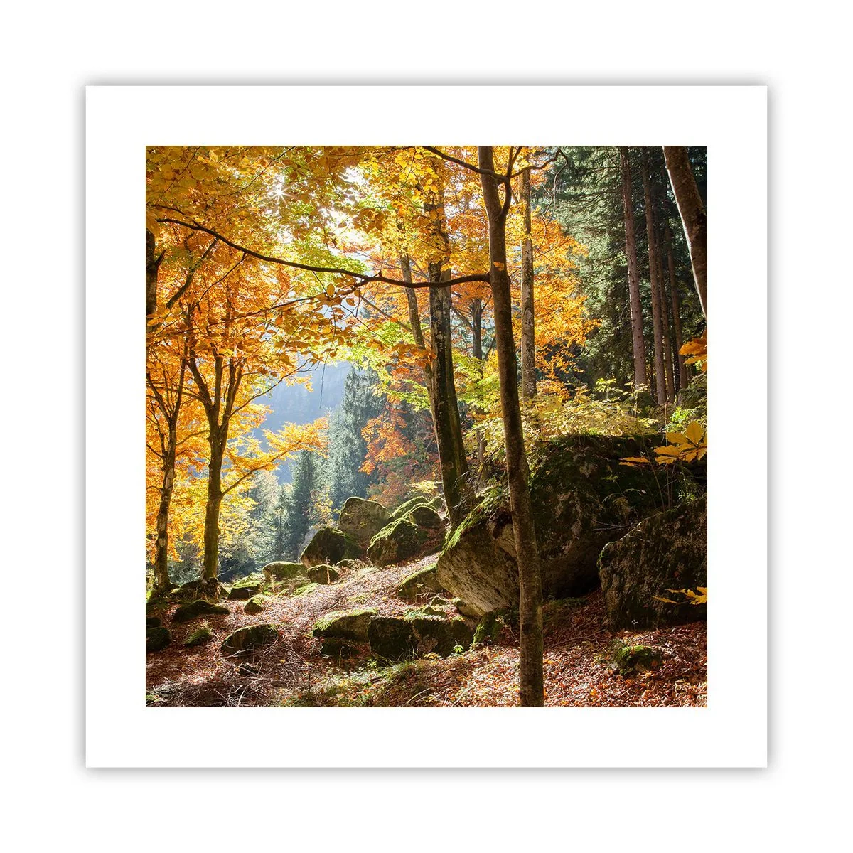 Plagát - Čas na odpočinok - 40x40 cm