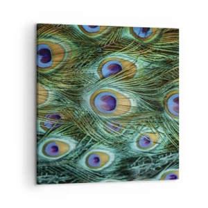 Obraz na plátne - Páví pohľad - 50x50 cm