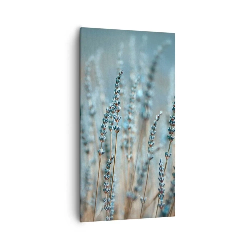 Obraz na plátne - Voňavý lán - 55x100 cm