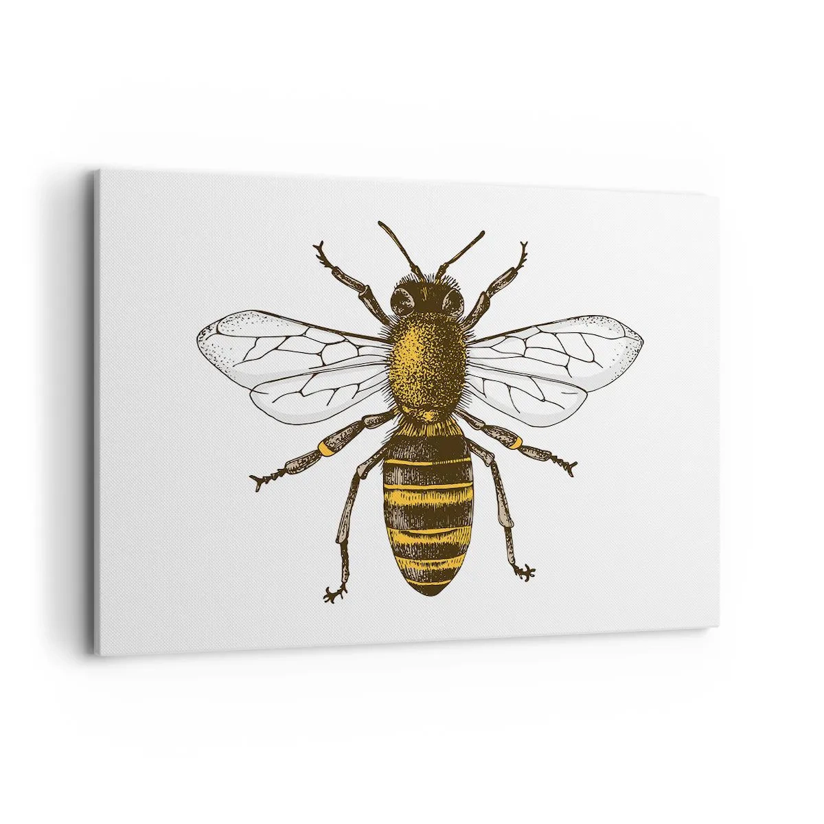 Obraz na plátne - Krásna a dobrá - 120x80 cm