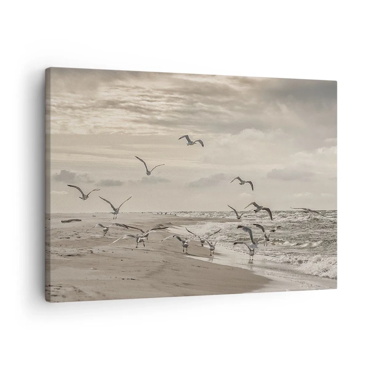 Obraz na plátne - Čajka letí nad prímorskou krajinou - 70x50cm - Šumenie mora, spev vtákov - Moderná nástenná dekorácia do obývacej izby a spálne ARTTOR