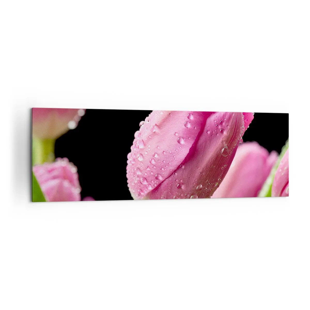Obraz na plátne - Ľaliový sen v rose - 160x50 cm