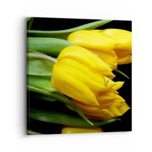 Obraz na plátne - Vznikli z čistého slnka - 30x30 cm