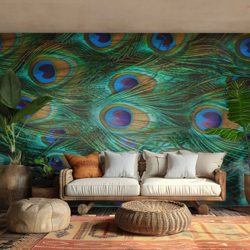 Fototapeta Standard Eco - Páví pohľad - Abstrakcia, Pávie perie, Vtáčie pierko - 400x280 cm