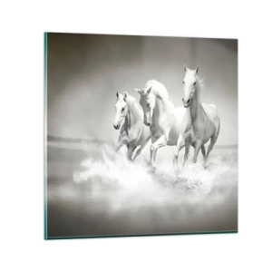 Obraz na skle - Biele šialenstvo - 40x40 cm