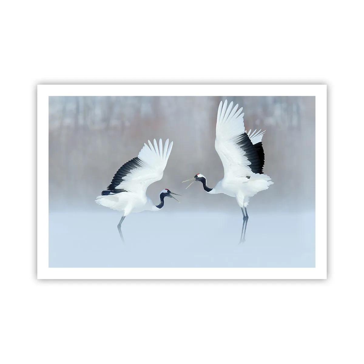 Plagát - Tanec v hmle - 91x61 cm