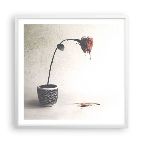 Plagát v bielom ráme - Rosa dolorosa - 60x60 cm