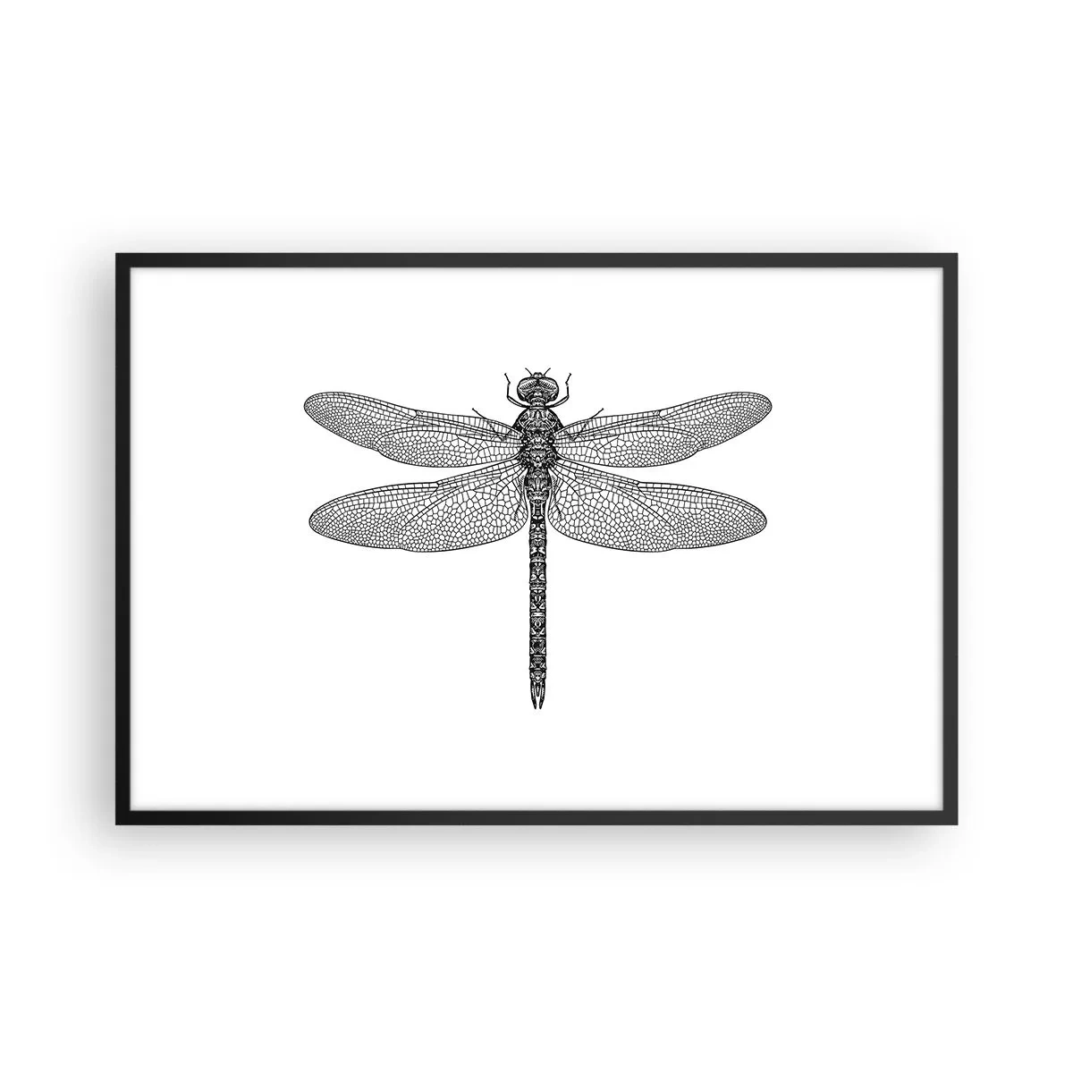 Plagát v čiernom ráme - Presnosť prírody - 91x61 cm