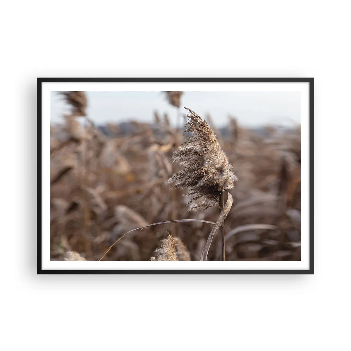 Plagát v čiernom ráme - Čas odletieť s vetrom - 100x70 cm