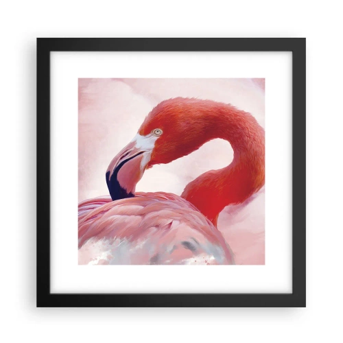 Plagát v čiernom ráme - Vtáčia krása - 30x30 cm