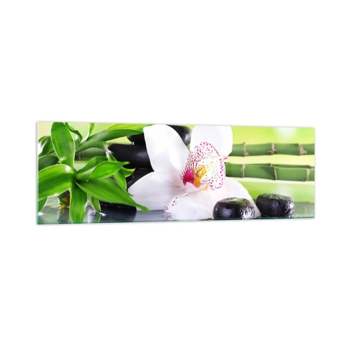 Obraz na skle - Chladná sviežosť - 160x50 cm