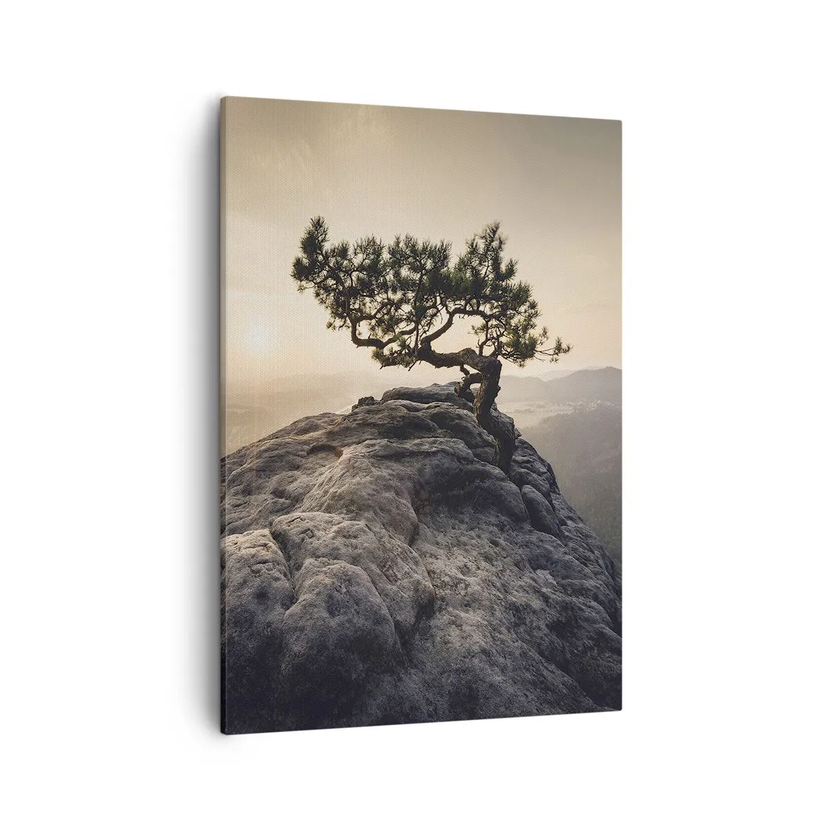 Obraz na plátne - Život vždy víťazí - 50x70 cm