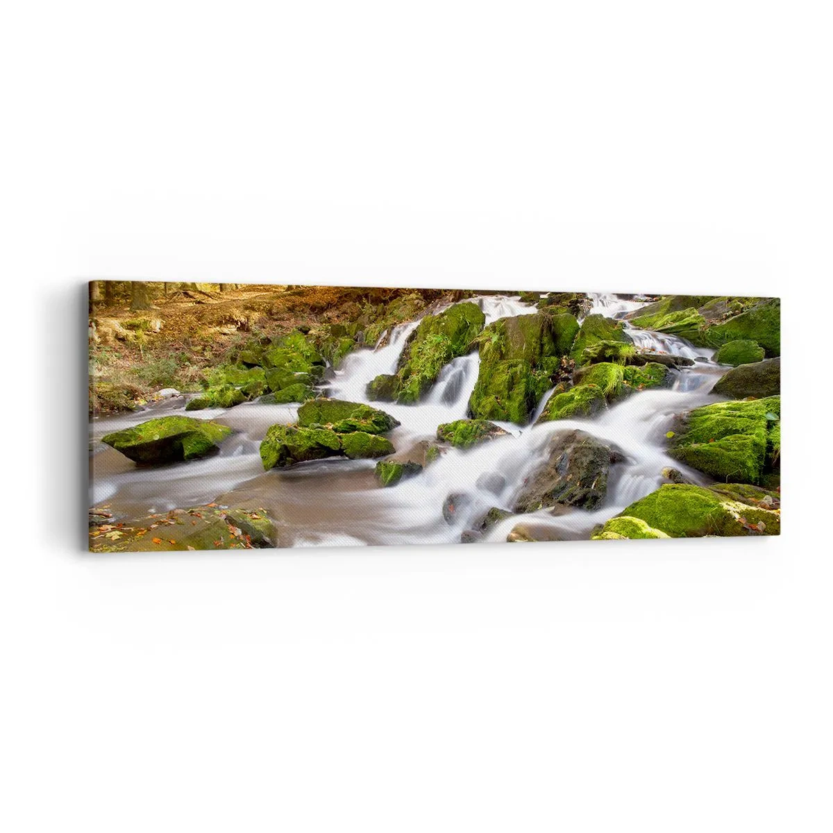 Obraz na plátne - Chvatom jesenným lesom - 90x30 cm