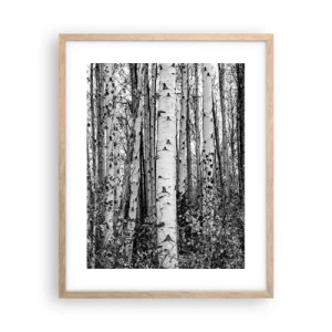 Plagát v ráme zo svetlého duba - Brezová kolonáda - 40x50 cm