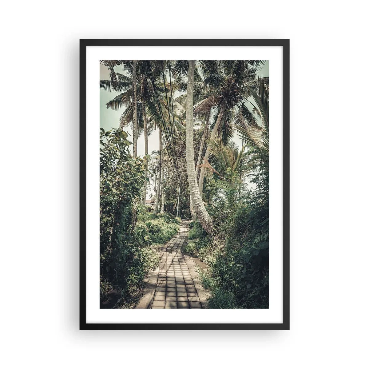 Plagát v čiernom ráme - Exotický chodník medzi palmami v tropickej krajine - 50x70cm - Palmový bulvár - Moderná nástenná dekorácia do obývacej izby a spálne ARTTOR