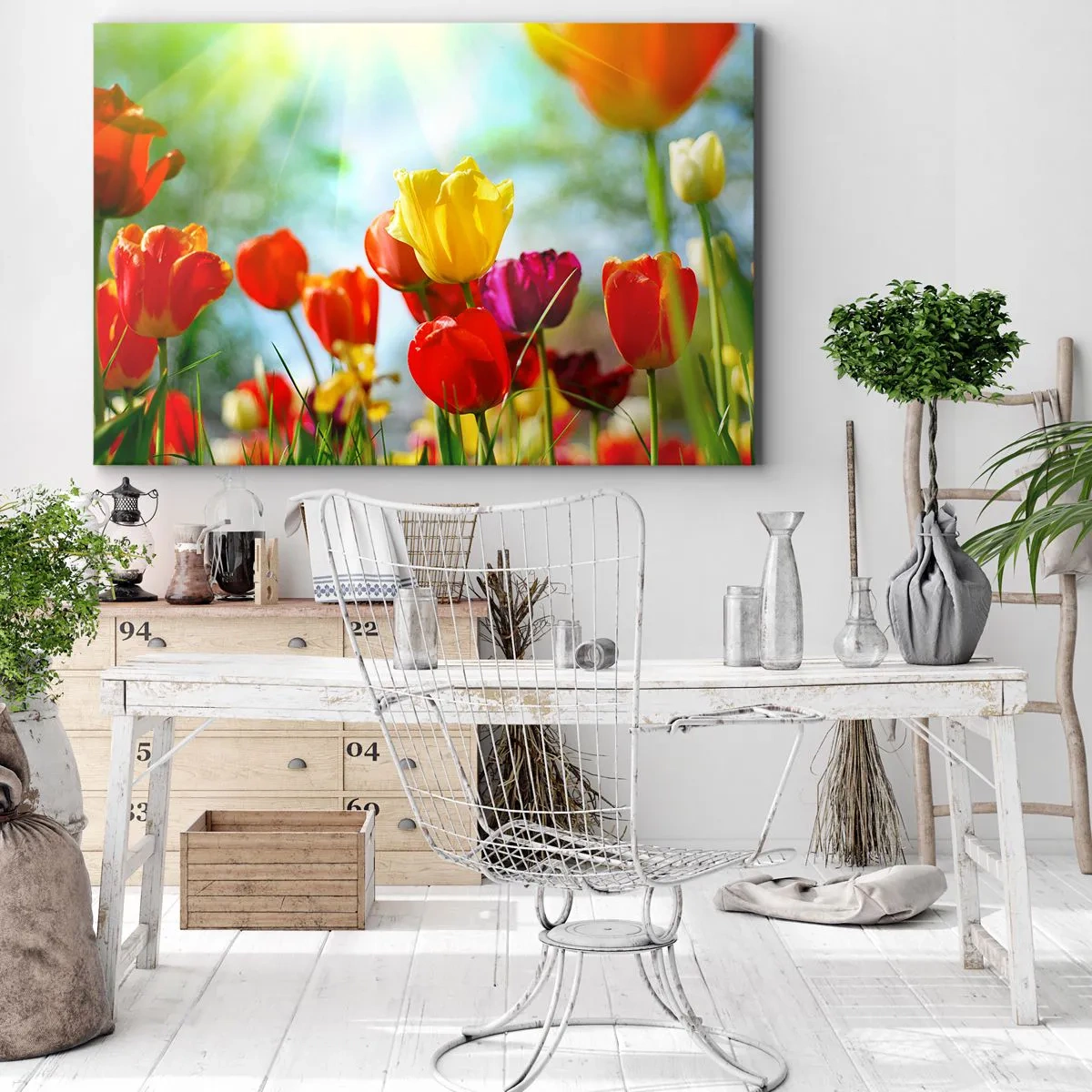 Obraz na plátne - Farebné tulipány na slnku - 70x50cm - Všetky farby slnka - Moderná nástenná dekorácia do obývacej izby a spálne ARTTOR