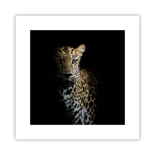 Plagát - Temná krása - 30x30 cm