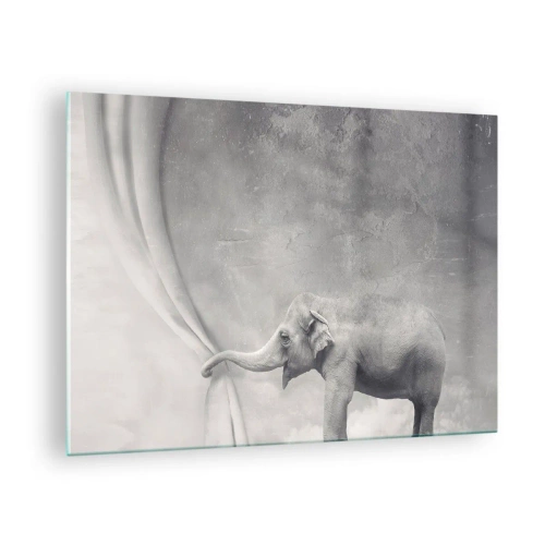 Obraz na skle - Slon v surrealistickom prostredí so závesom - 70x50cm - Odhaliť tajomstvo - Moderná nástenná dekorácia do obývacej izby a spálne ARTTOR