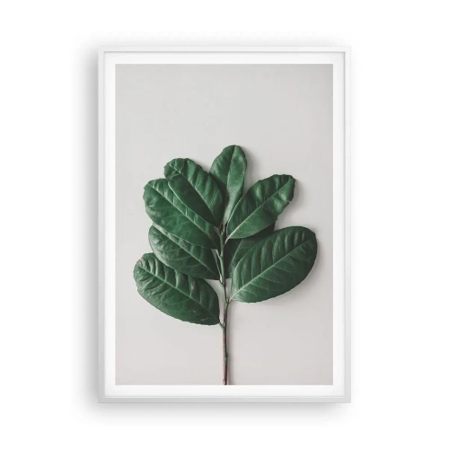 Plagát v bielom ráme - Kresba samotnej prírody - 70x100 cm