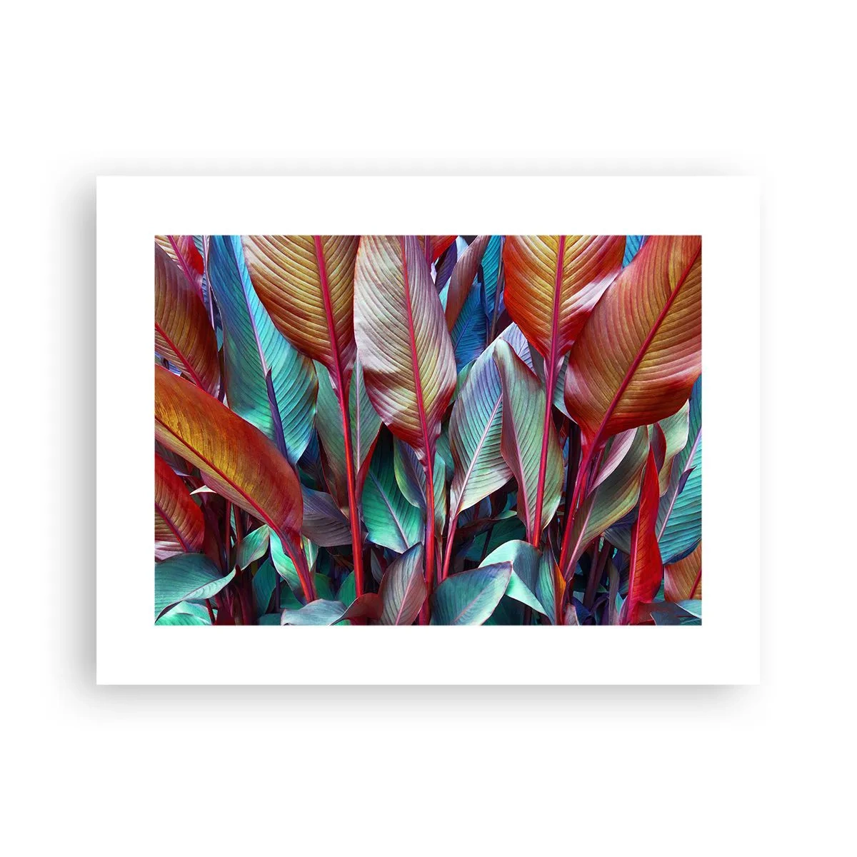 Plagát - Farebná húština - 40x30 cm