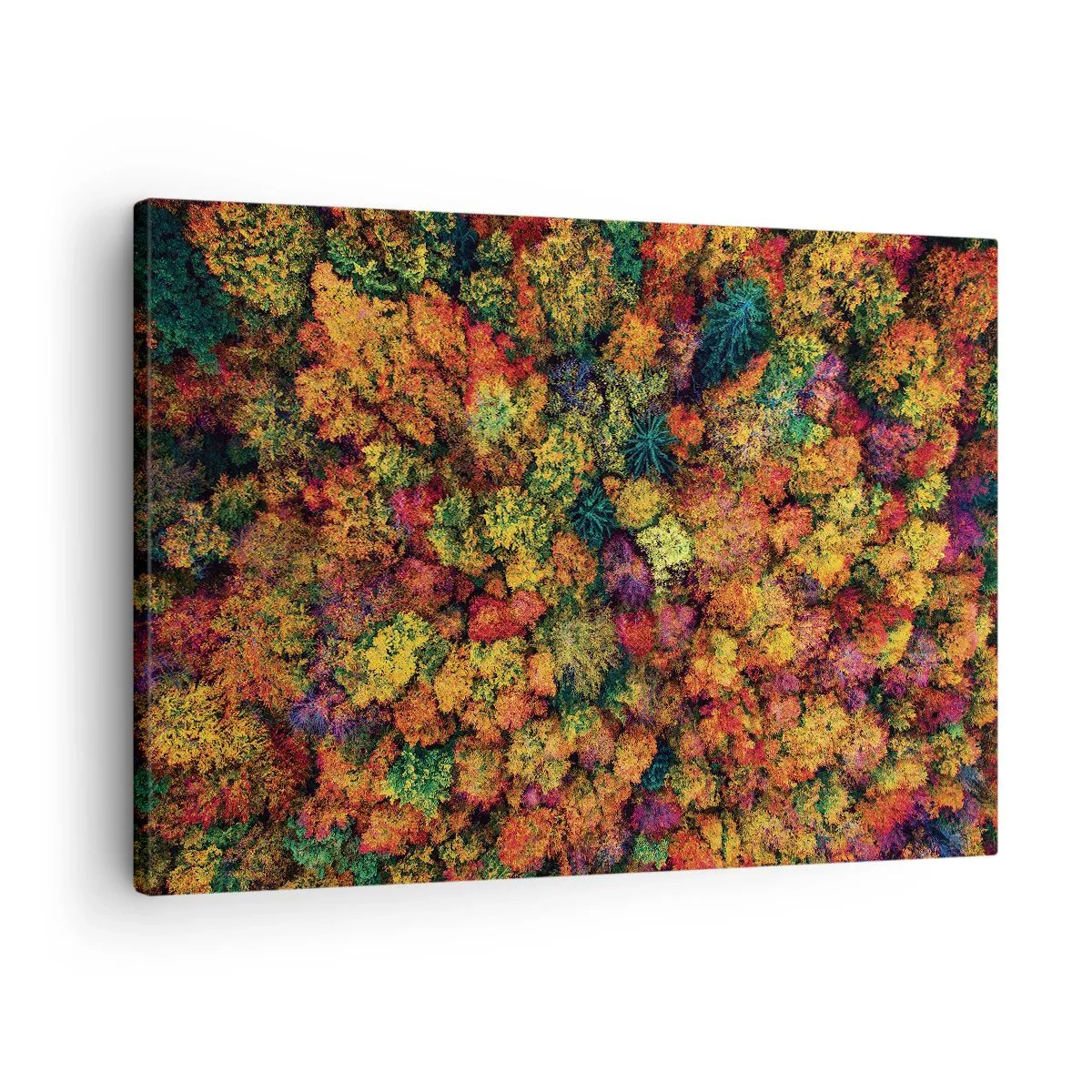 Obraz na plátne - Farebné koruny stromov v jesennej palete - 70x50cm - Kytica jesenných stromov - Moderná nástenná dekorácia do obývacej izby a spálne ARTTOR